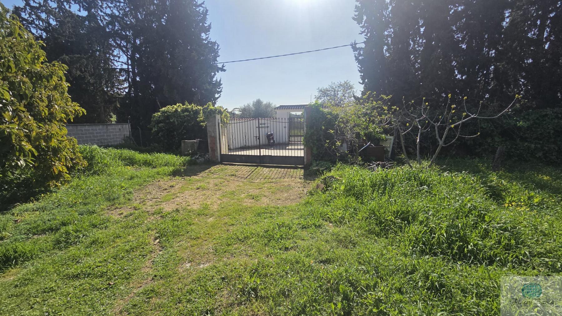 Venta de finca rústica en Mijas