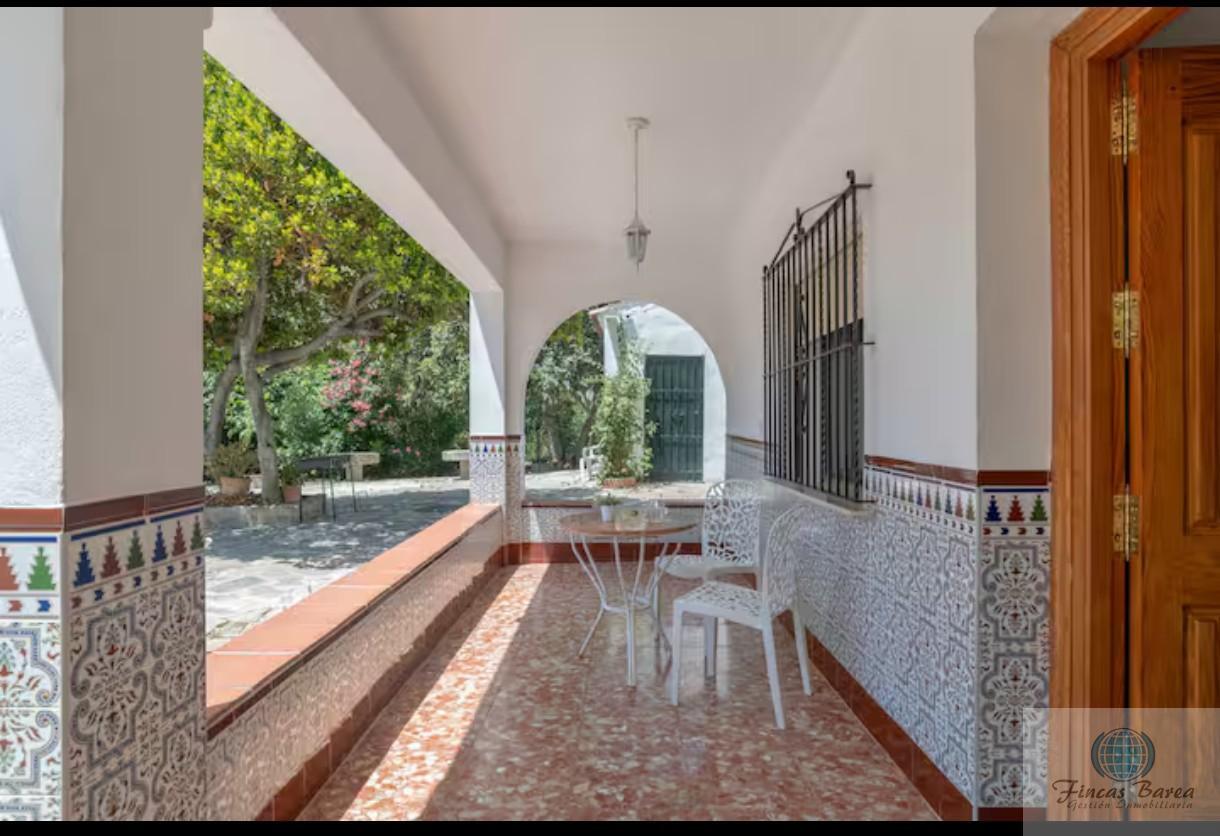 Venta de finca rústica en Montecorto