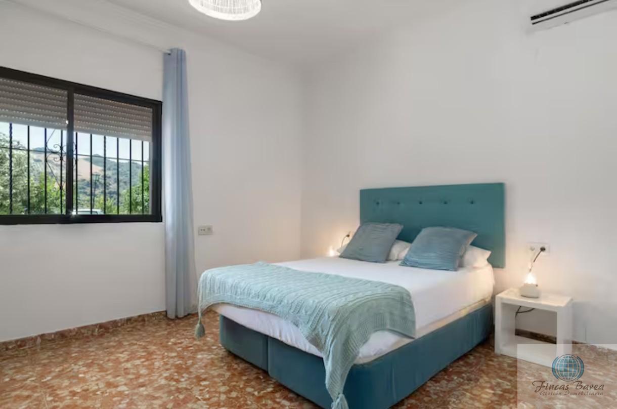 Venta de finca rústica en Montecorto