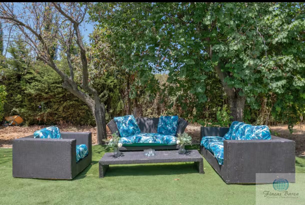 Venta de finca rústica en Montecorto