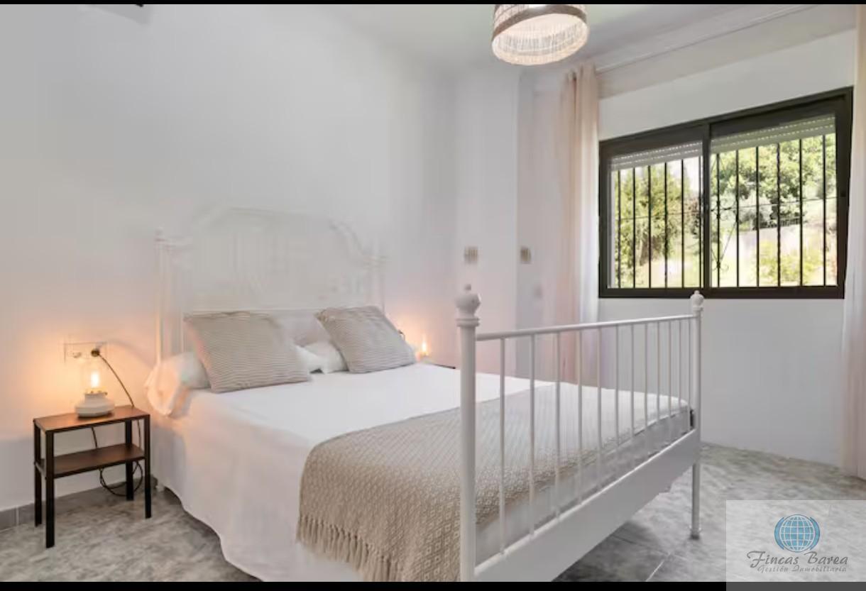 Venta de finca rústica en Montecorto