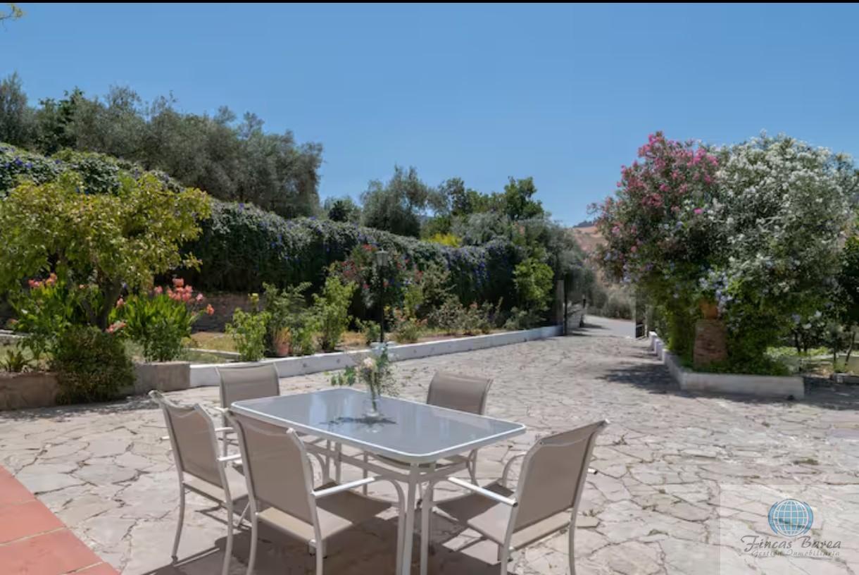 Venta de finca rústica en Montecorto