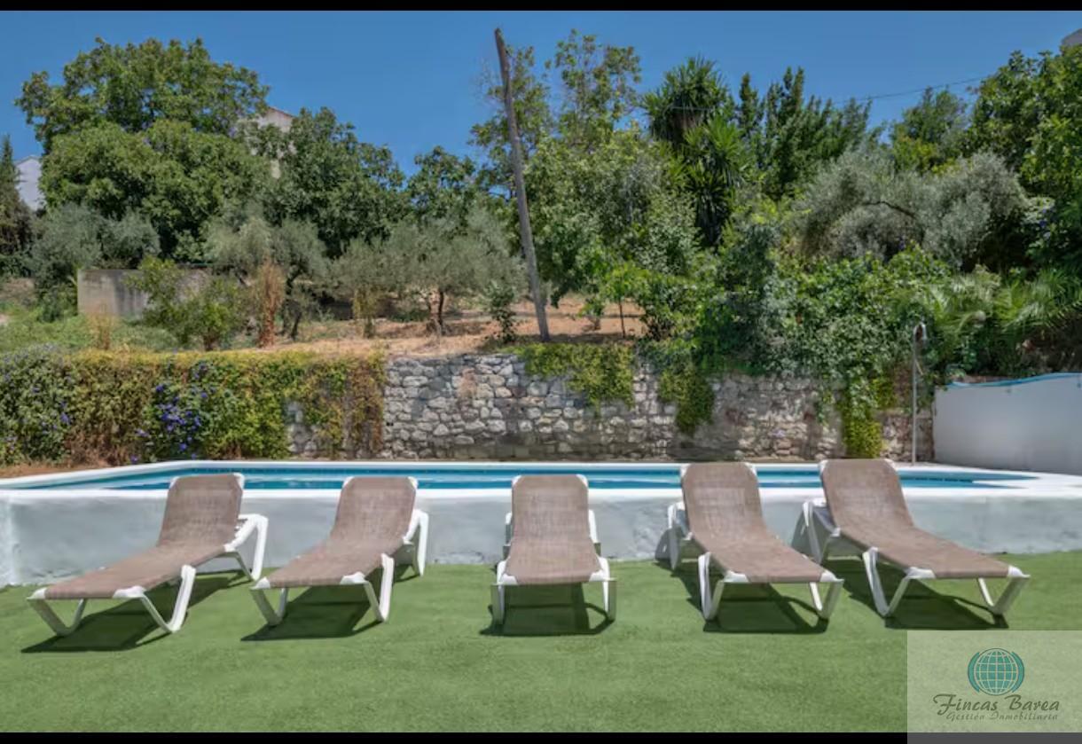 Venta de finca rústica en Montecorto