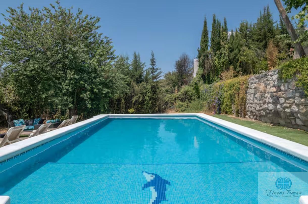 Venta de finca rústica en Montecorto