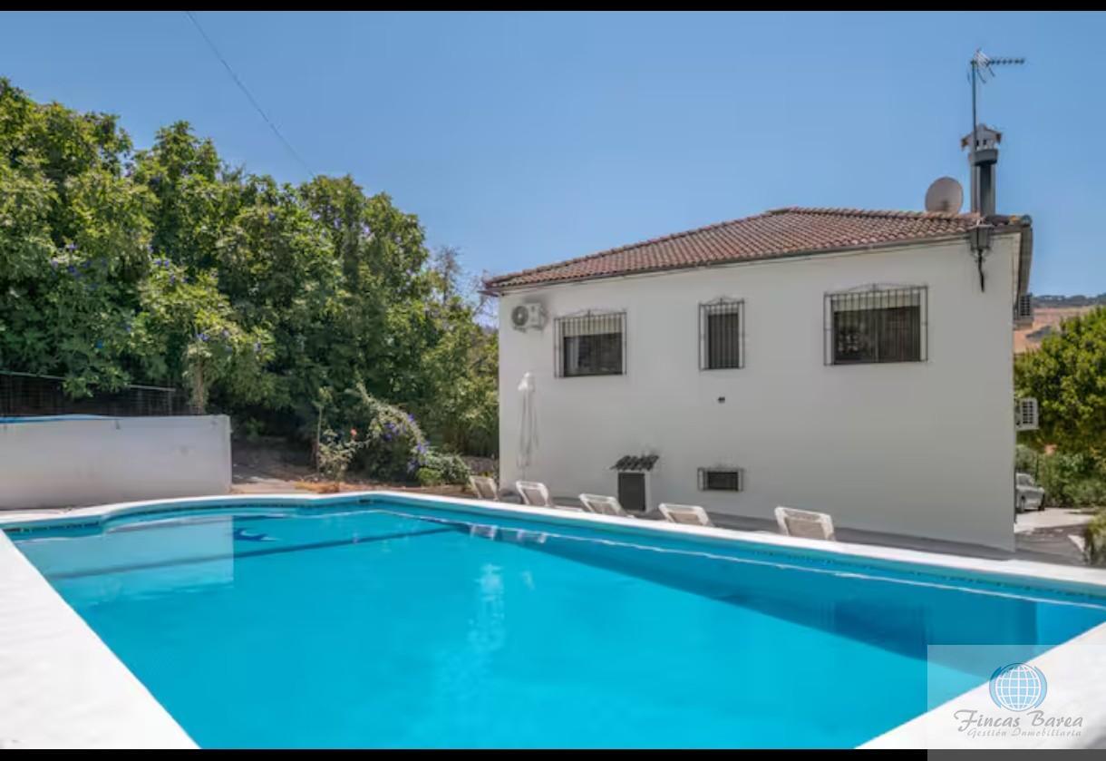 Venta de finca rústica en Montecorto