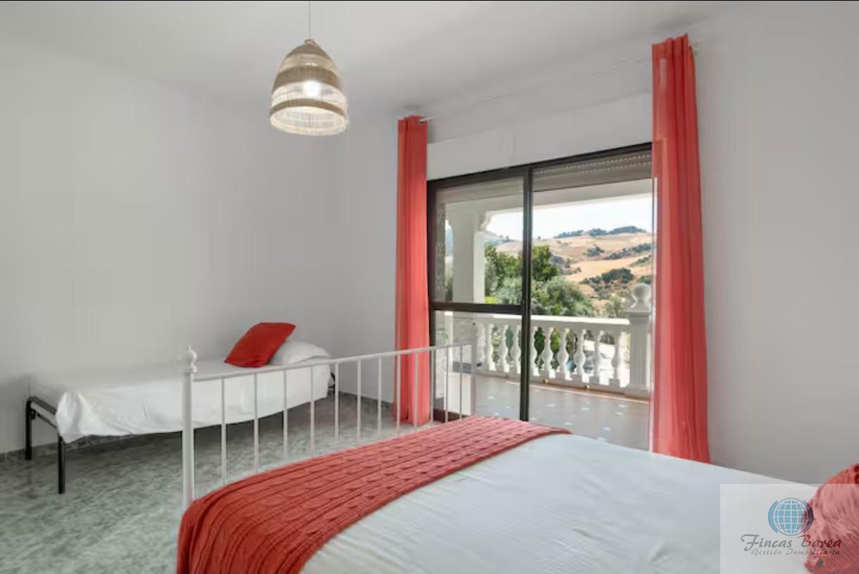 Venta de finca rústica en Montecorto