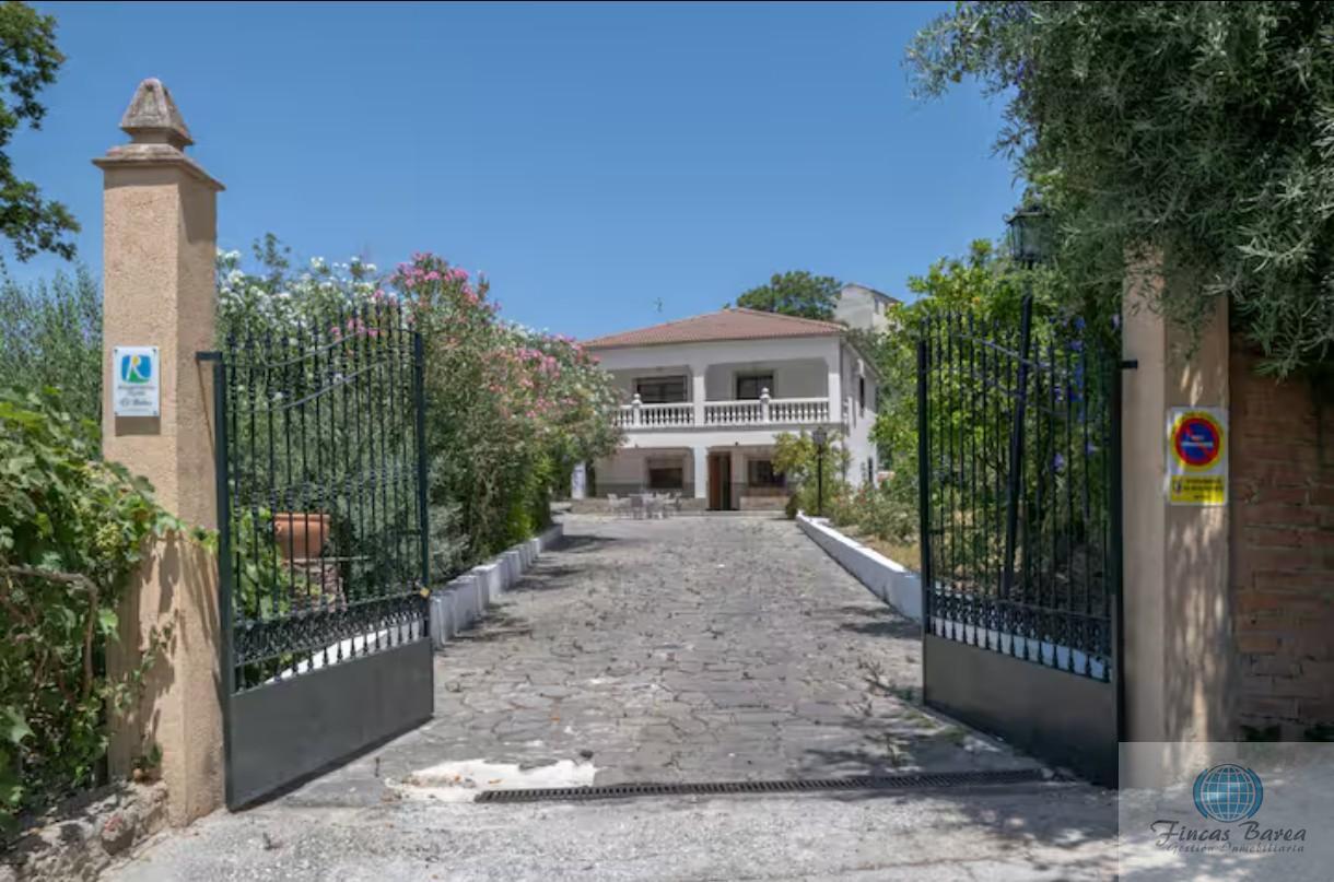 Venta de finca rústica en Montecorto