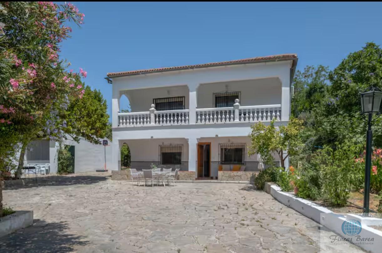 Venta de finca rústica en Montecorto