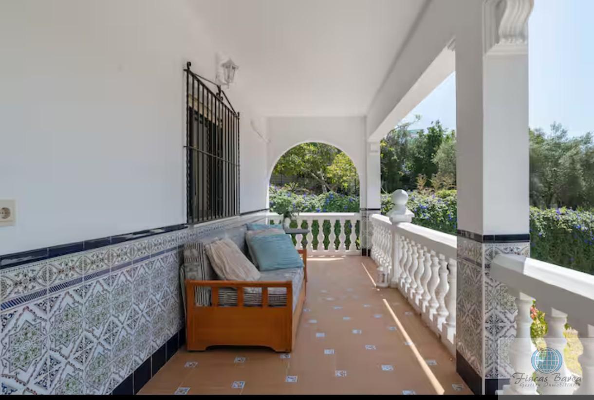 Venta de finca rústica en Montecorto