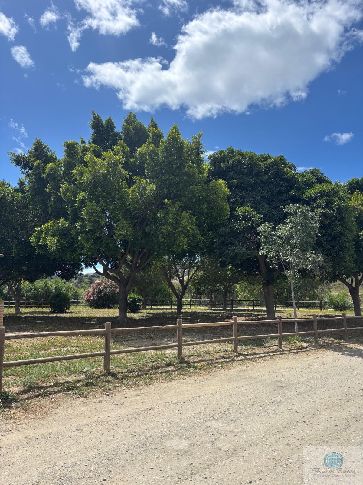 Venta de terreno en Mijas