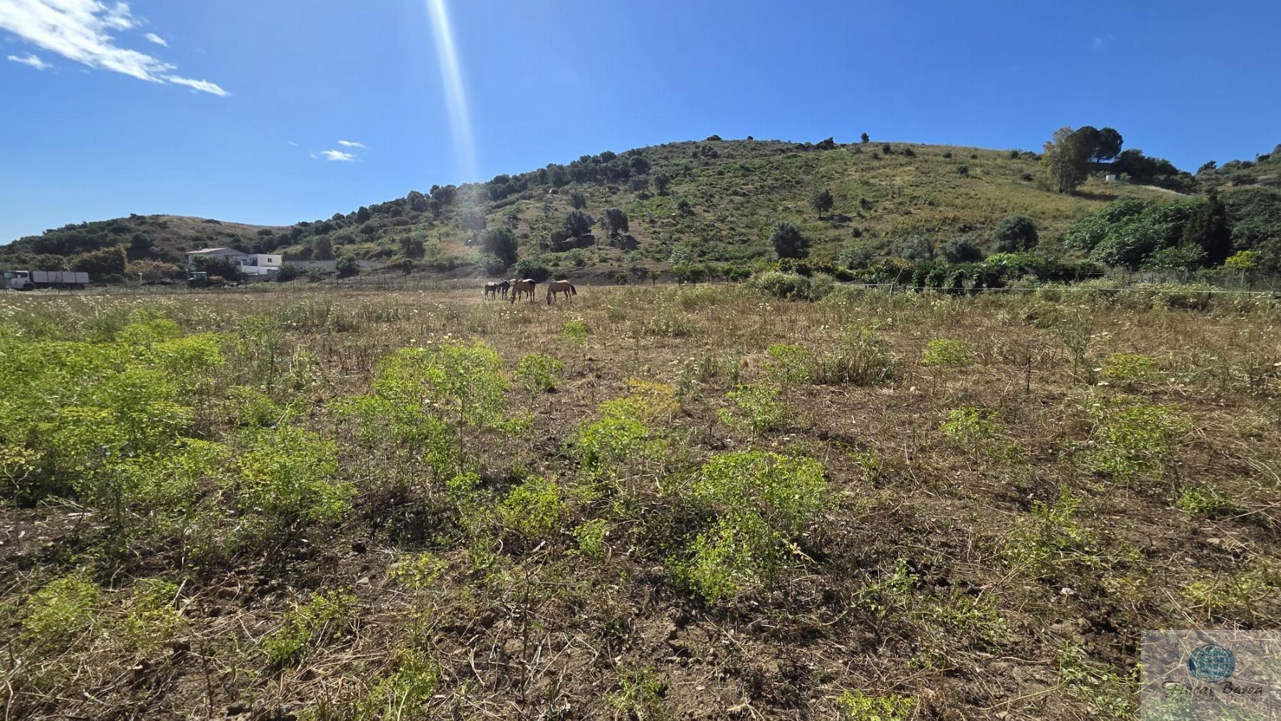 Venta de terreno en Mijas
