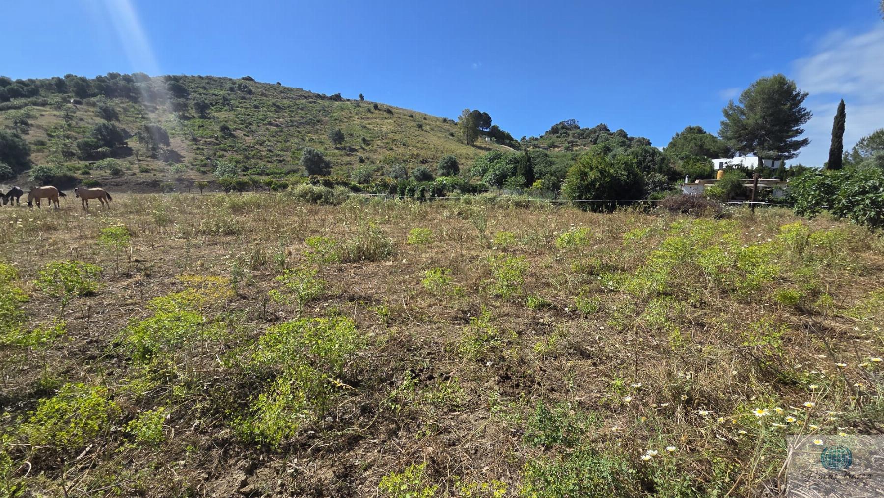 Venta de terreno en Mijas
