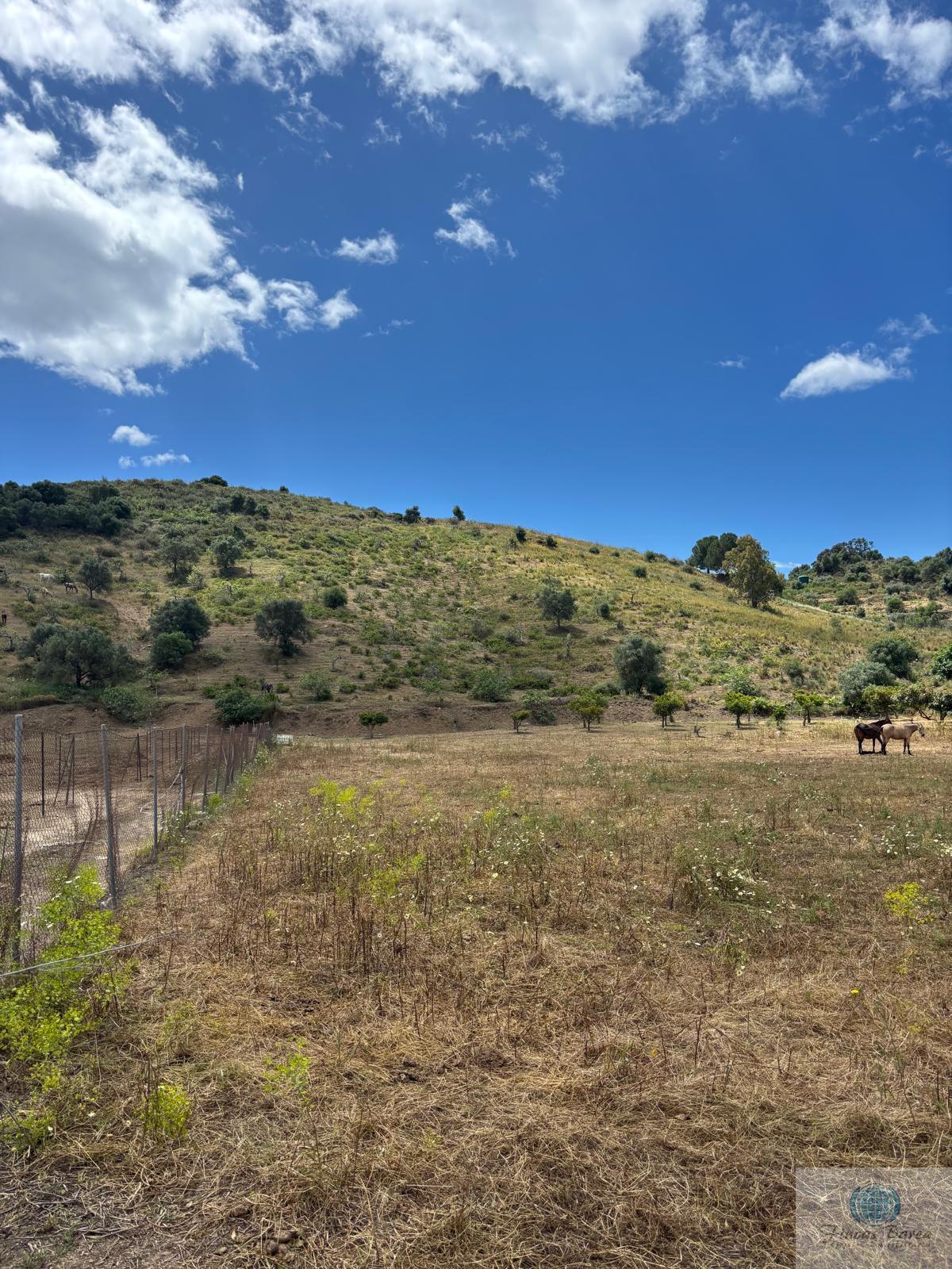 Venta de terreno en Mijas
