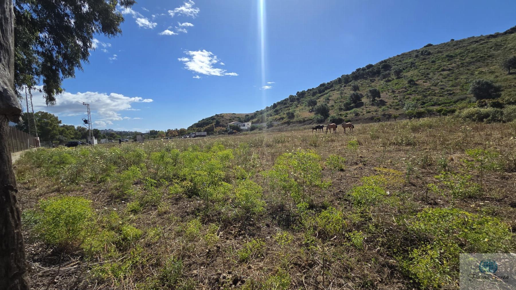 Venta de terreno en Mijas