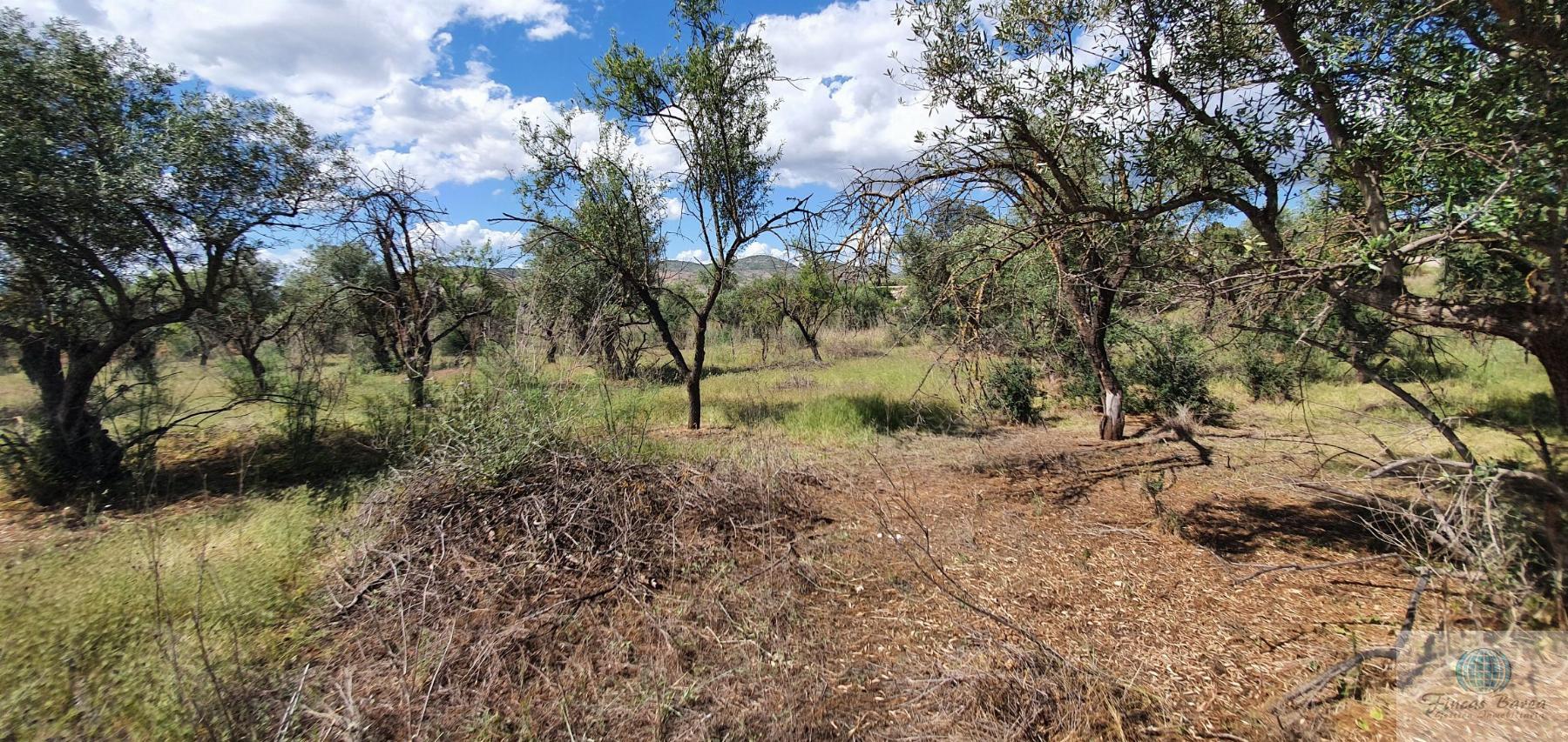 Venta de terreno en Alhaurín de la Torre