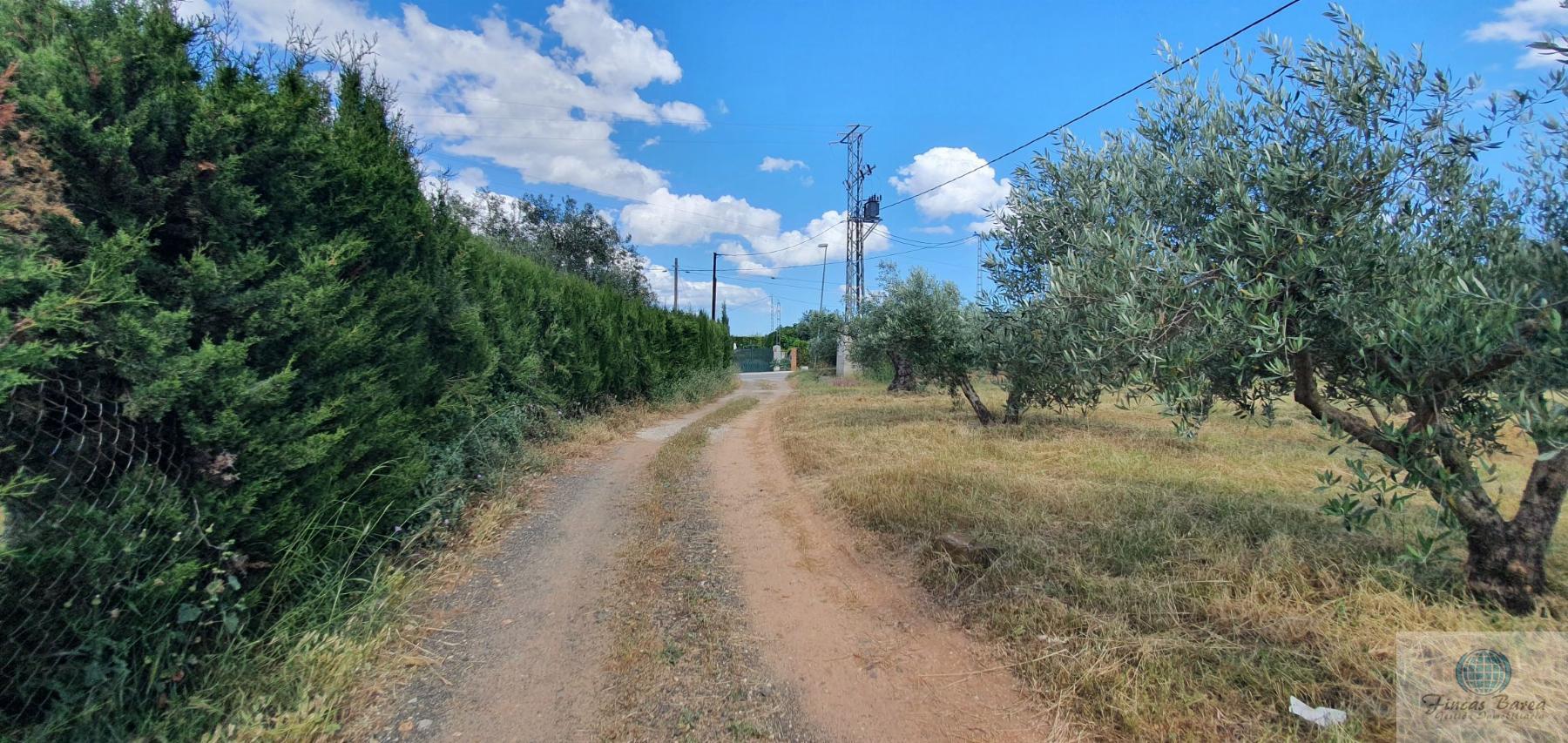 Venta de terreno en Alhaurín de la Torre