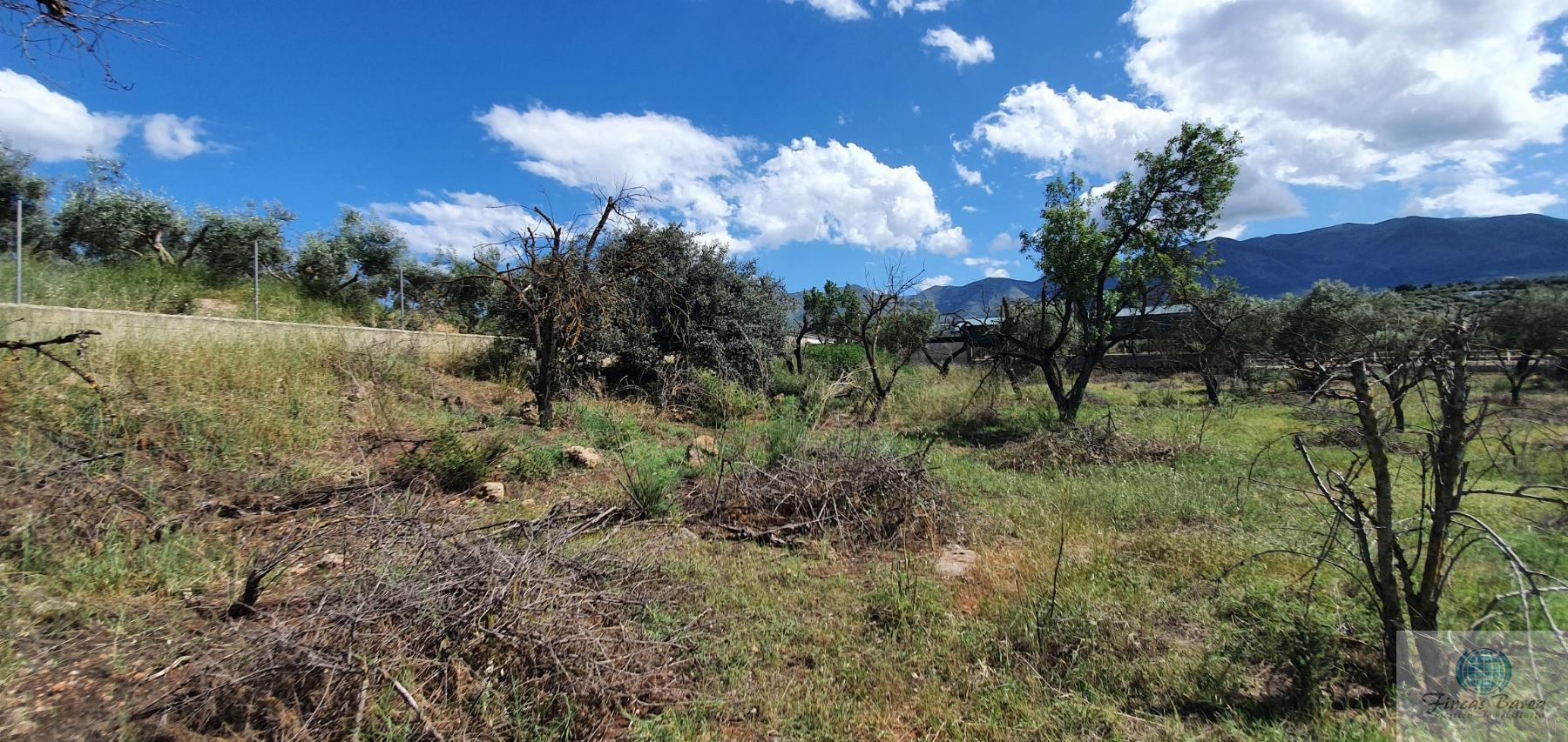 Venta de terreno en Alhaurín de la Torre
