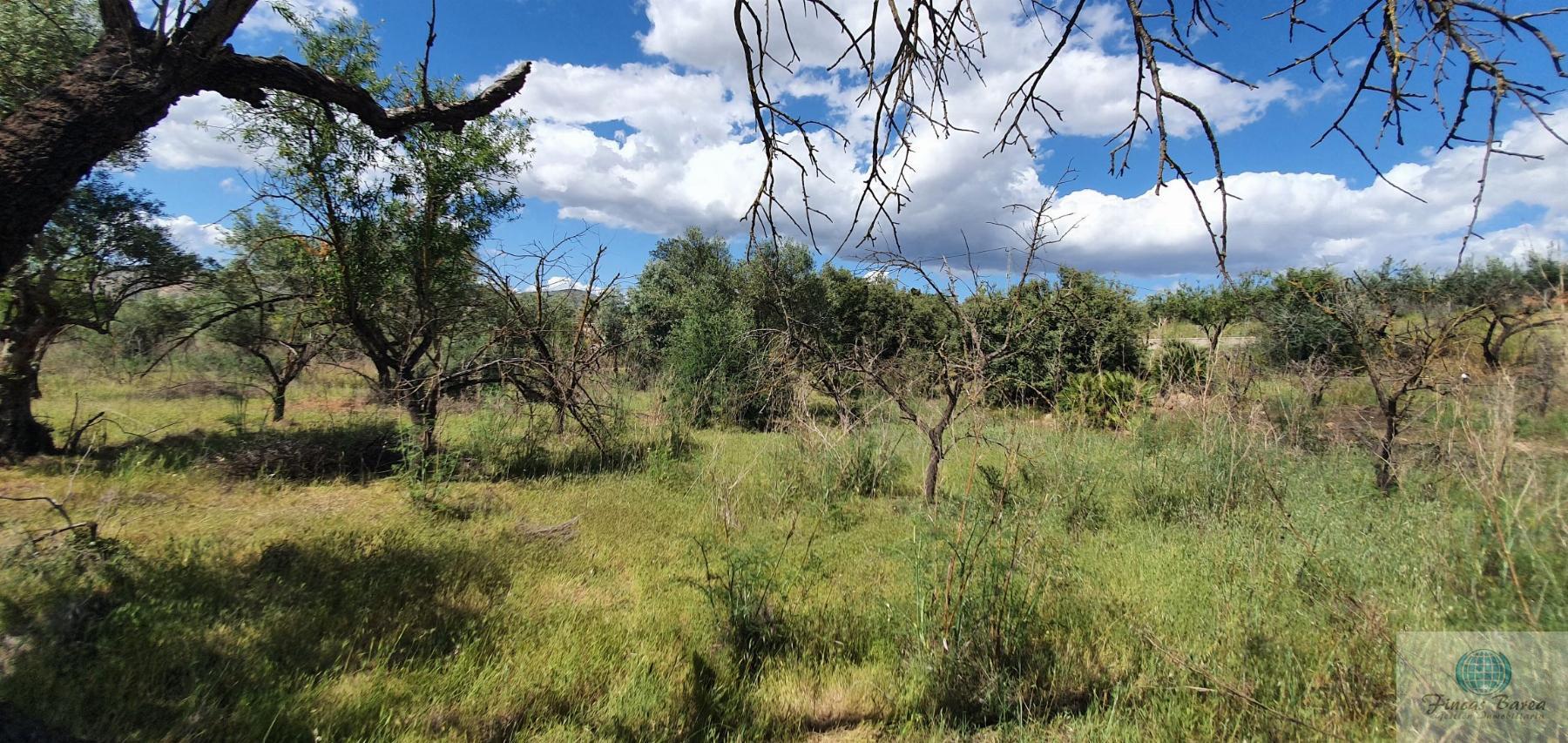 Venta de terreno en Alhaurín de la Torre
