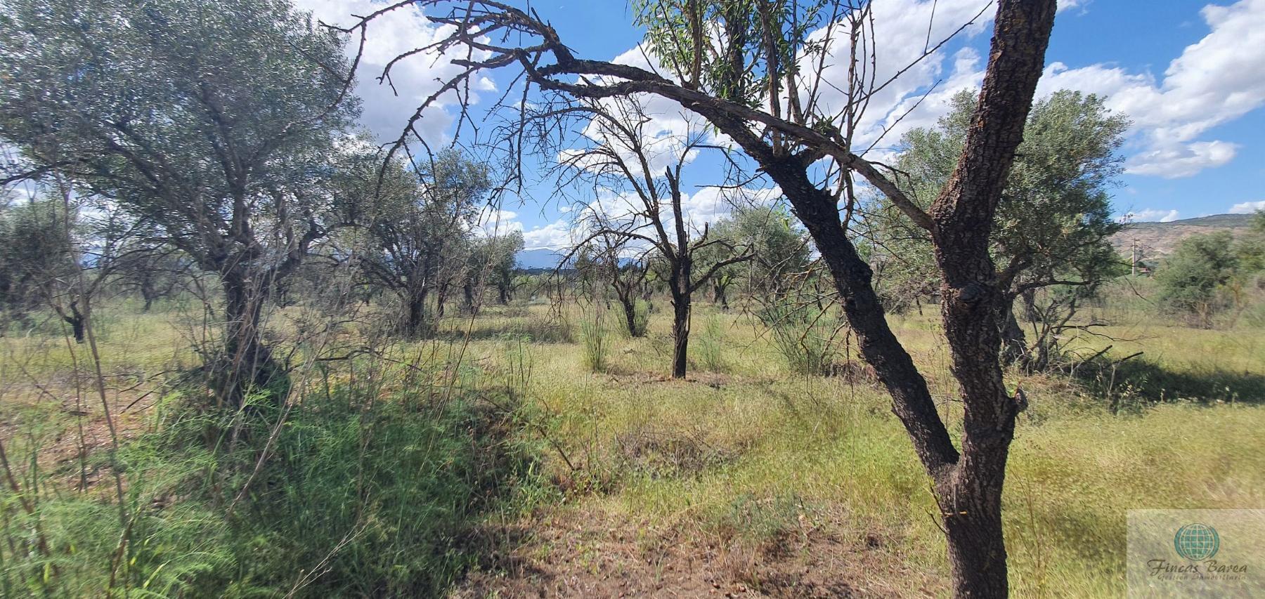 Venta de terreno en Alhaurín de la Torre