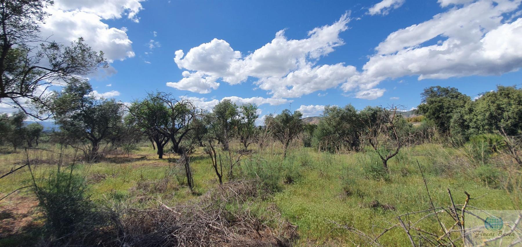 Venta de terreno en Alhaurín de la Torre