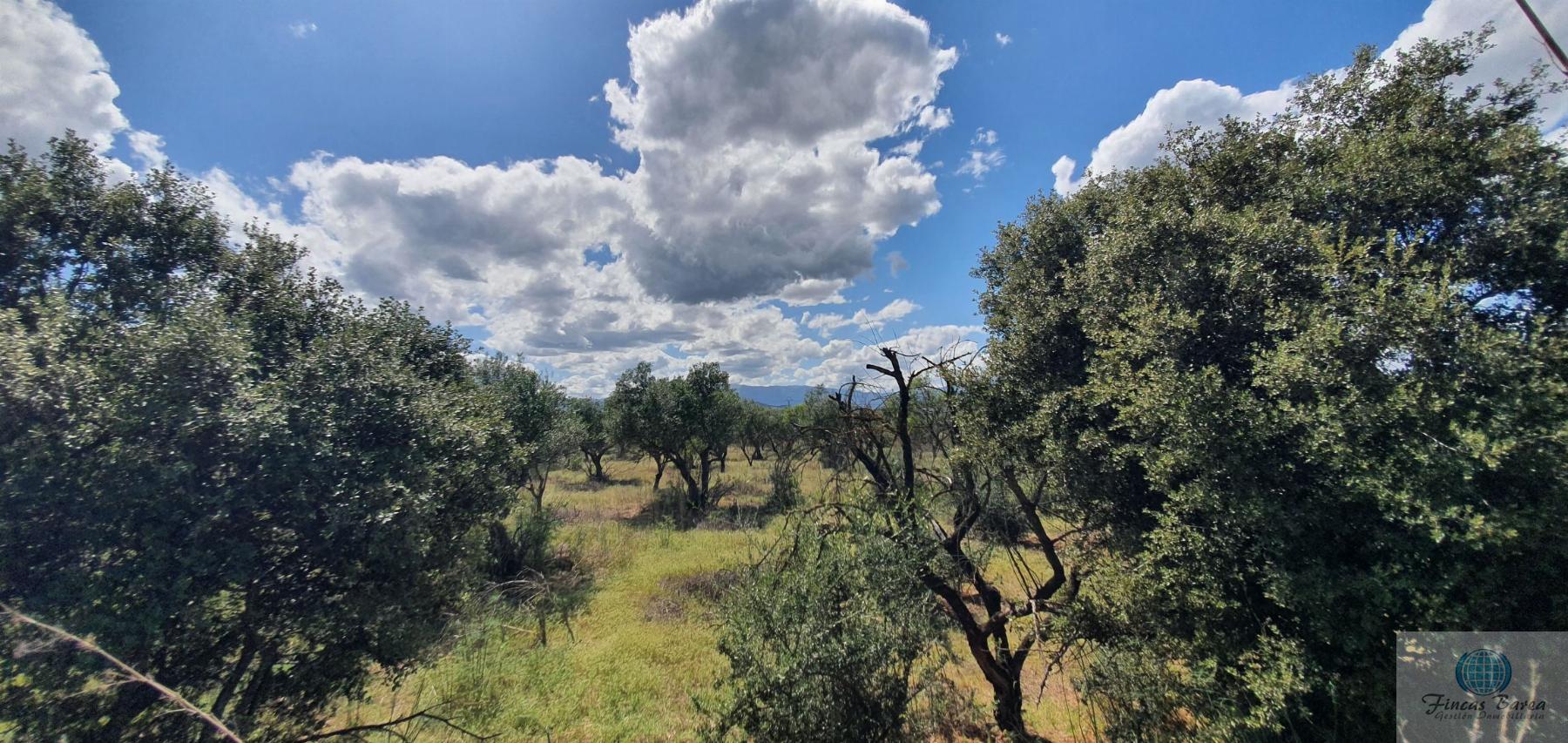 Venta de terreno en Alhaurín de la Torre