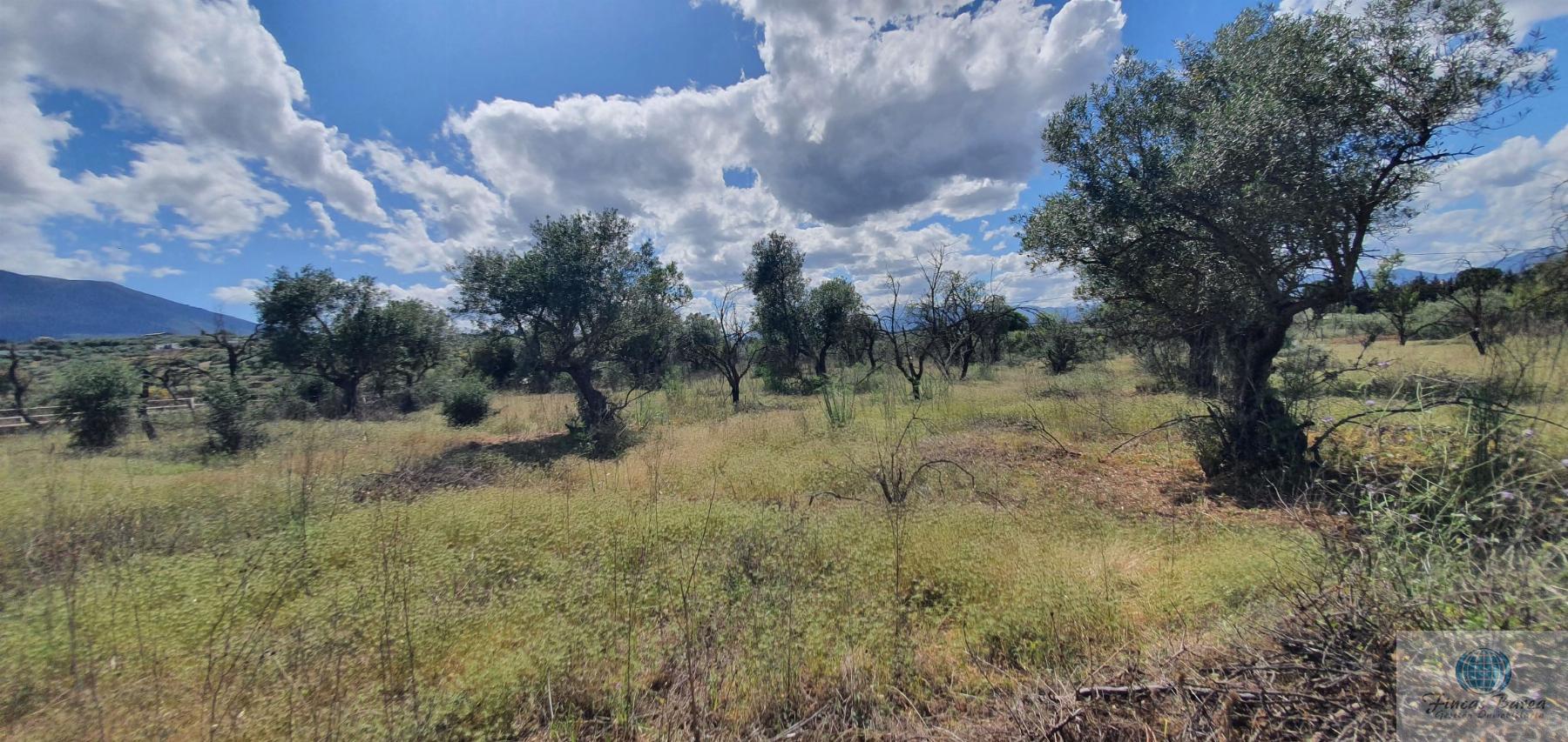 Venta de terreno en Alhaurín de la Torre