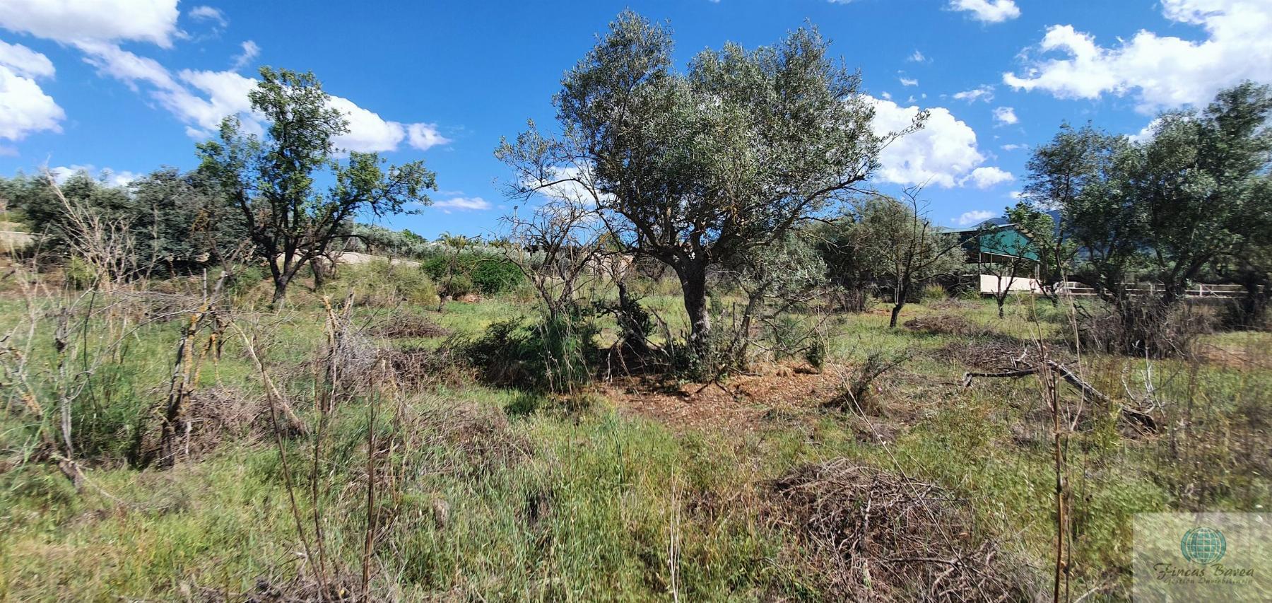Venta de terreno en Alhaurín de la Torre
