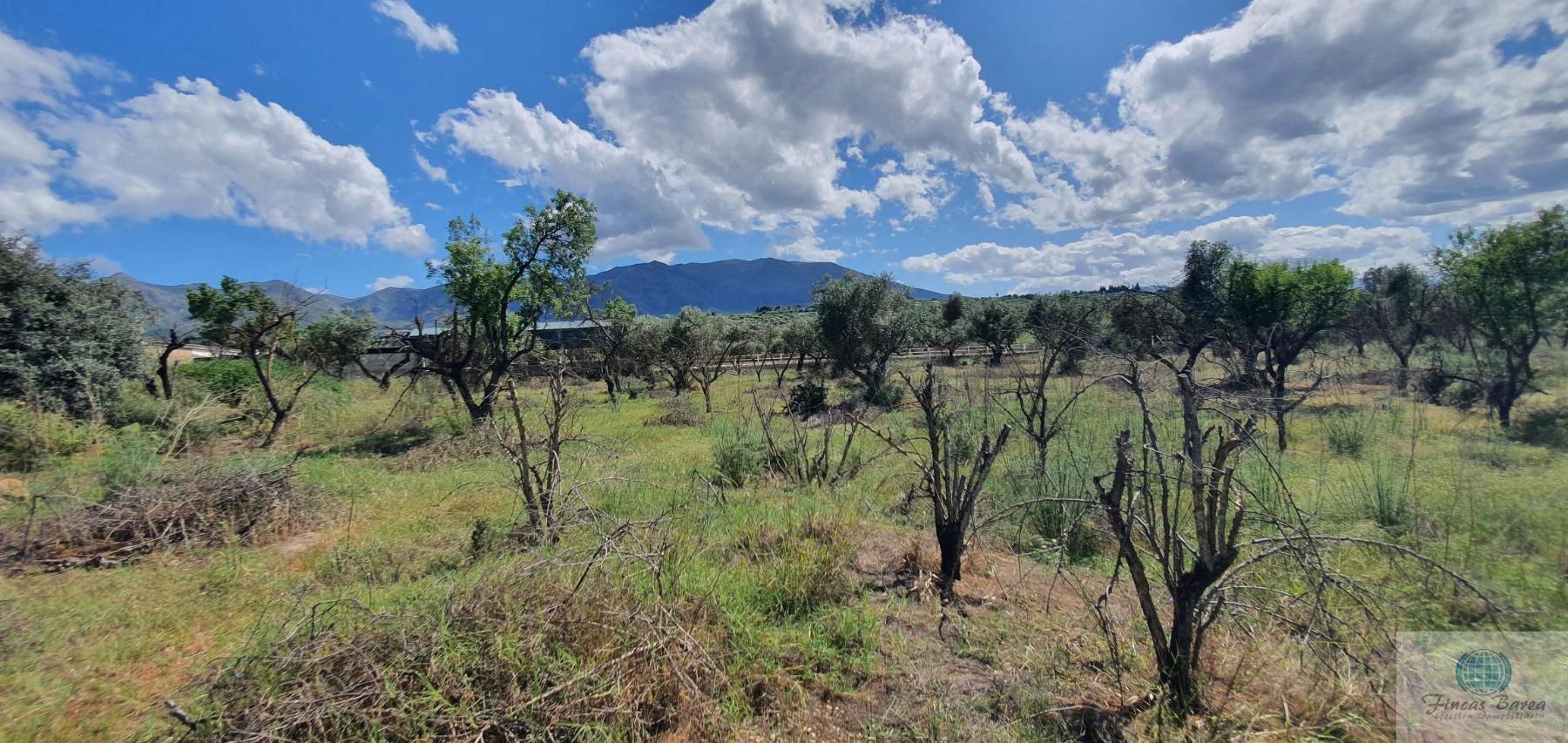 Venta de terreno en Alhaurín de la Torre