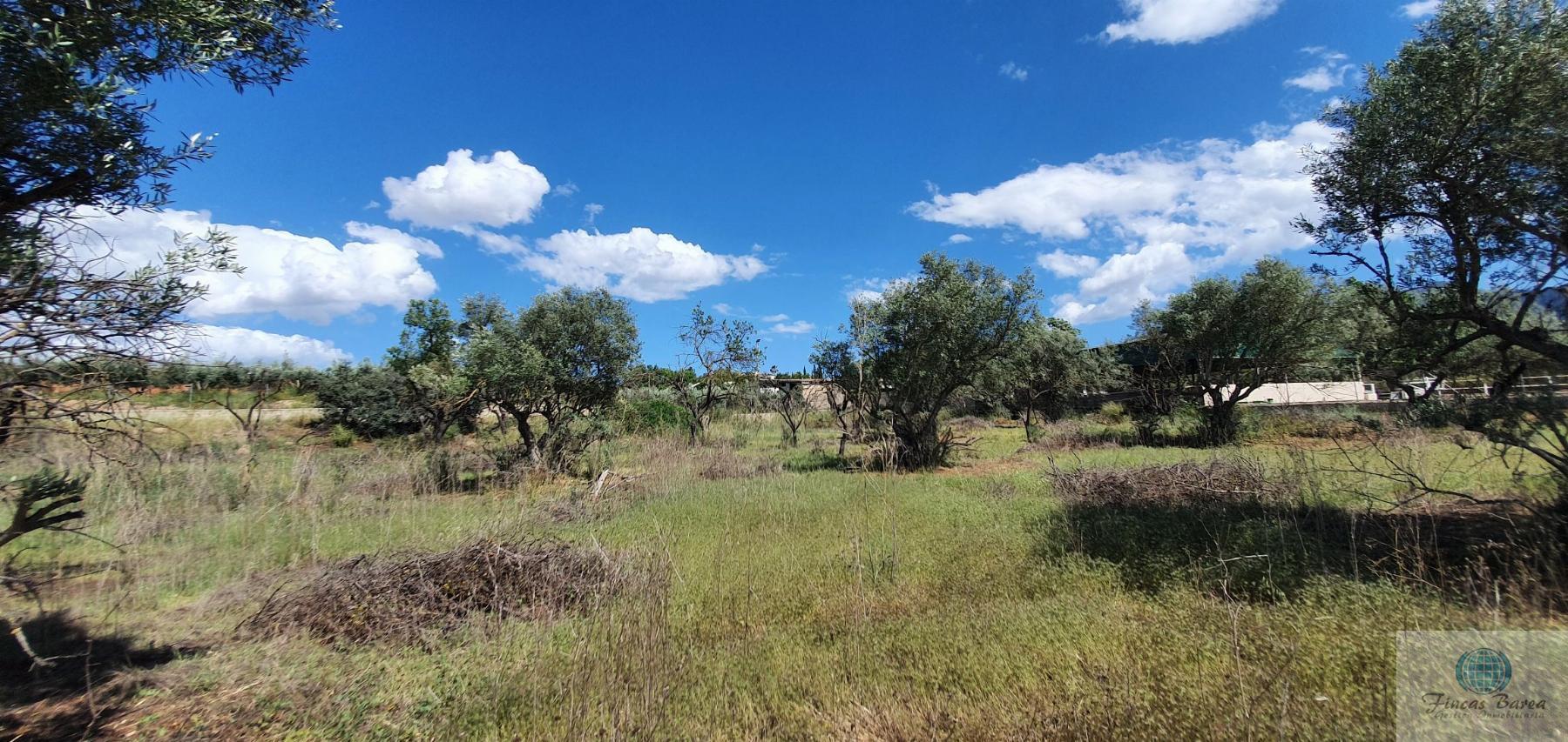 Venta de terreno en Alhaurín de la Torre