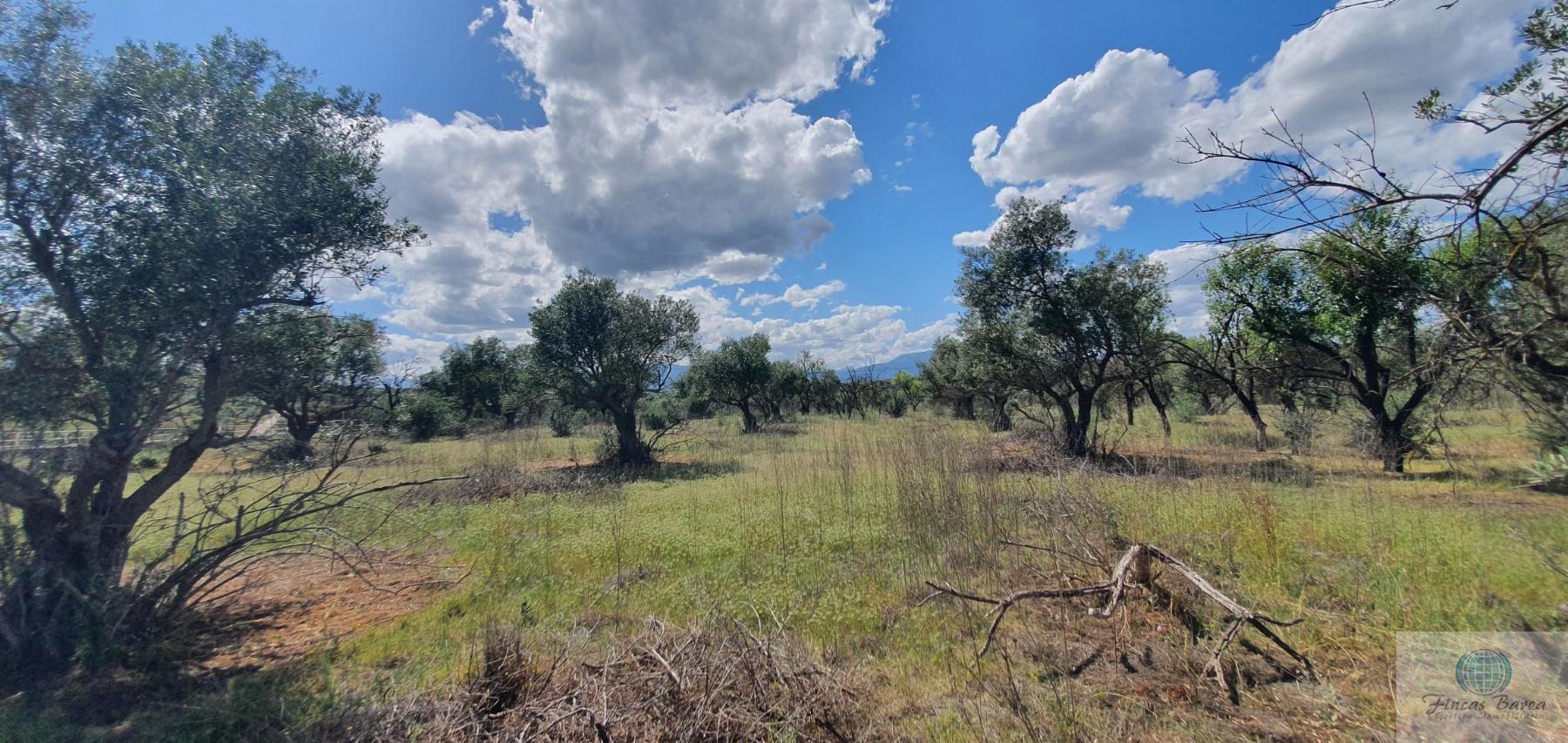 Venta de terreno en Alhaurín de la Torre