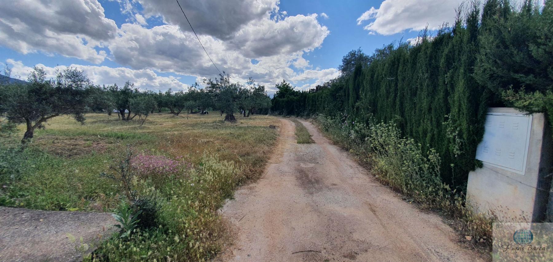 Venta de terreno en Alhaurín de la Torre