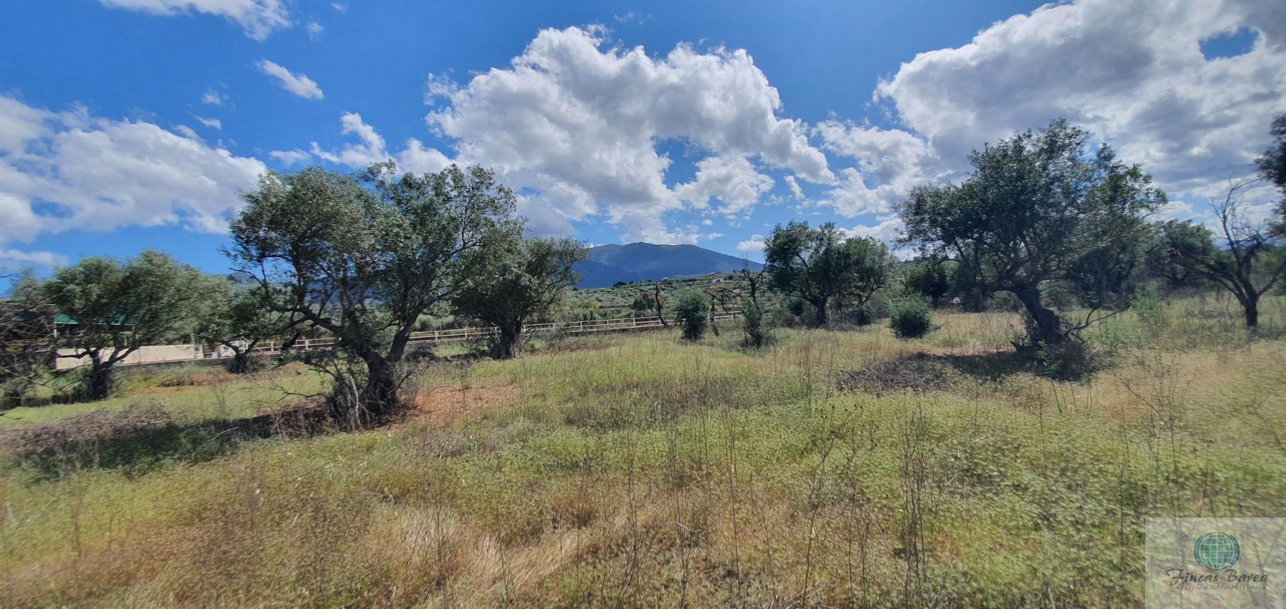 Venta de terreno en Alhaurín de la Torre