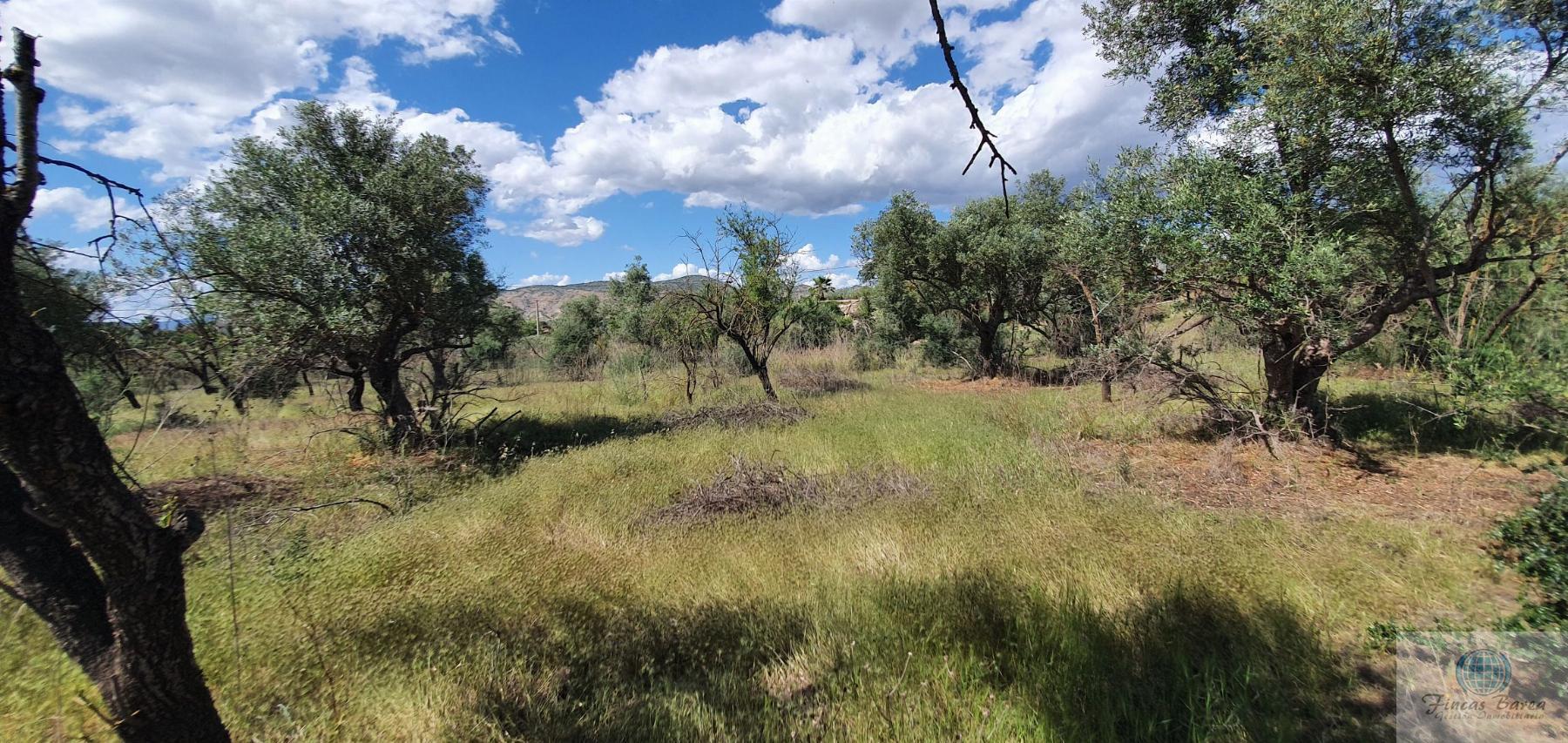 Venta de terreno en Alhaurín de la Torre