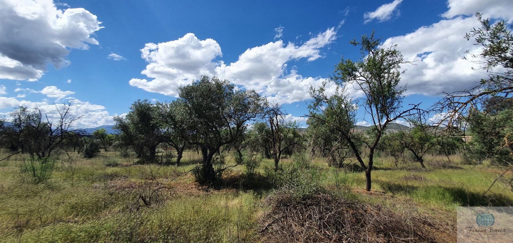 Venta de terreno en Alhaurín de la Torre