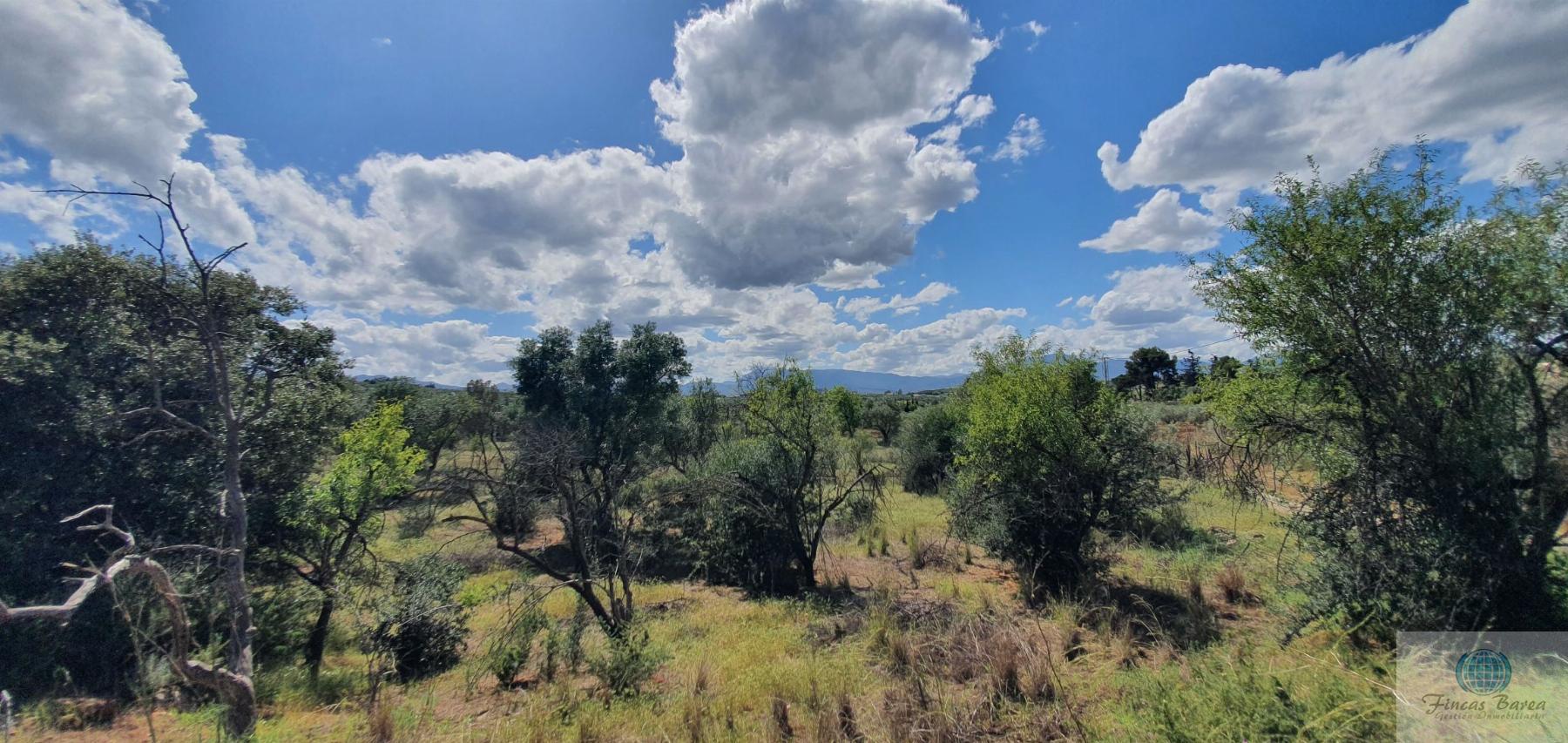 Venta de terreno en Alhaurín de la Torre