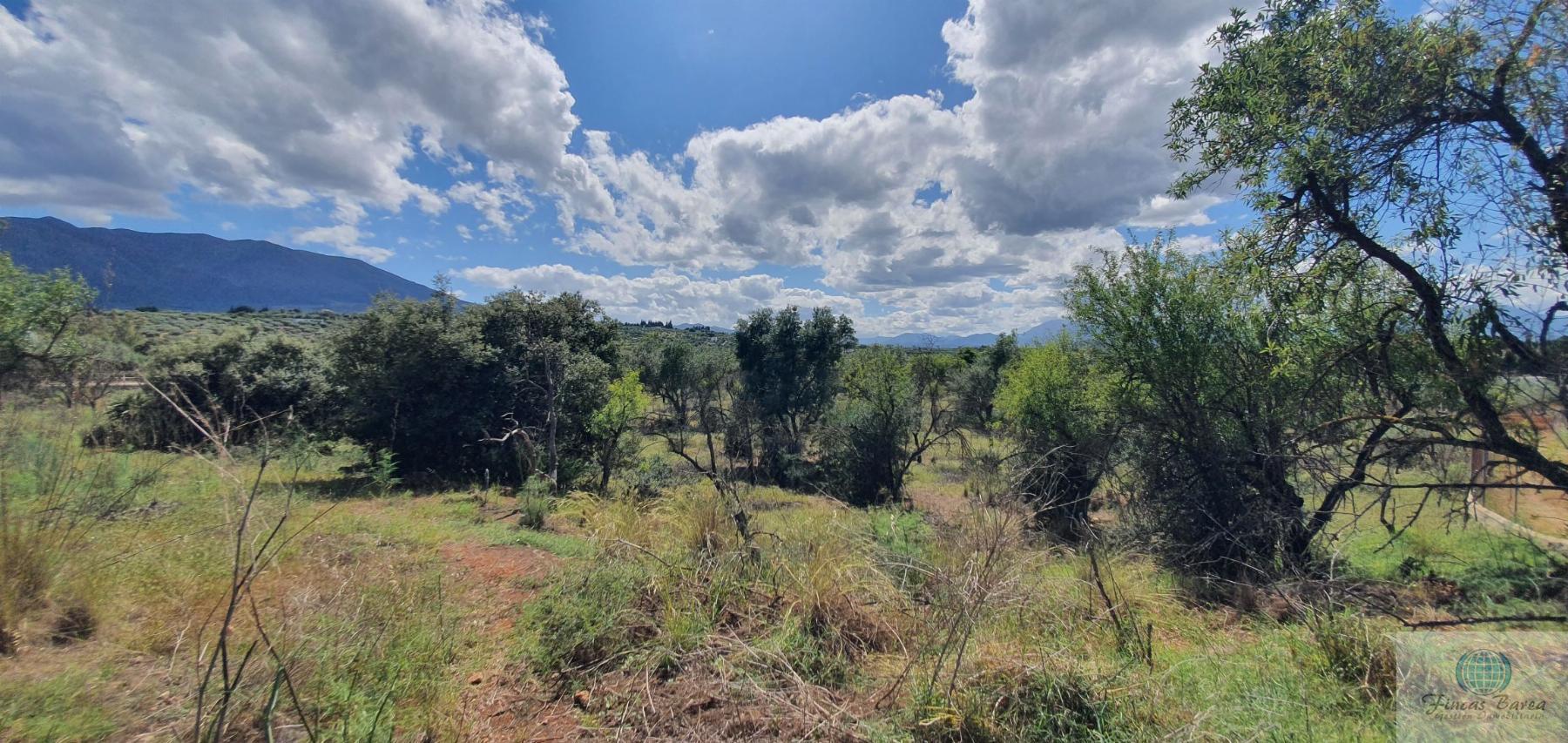 Venta de terreno en Alhaurín de la Torre