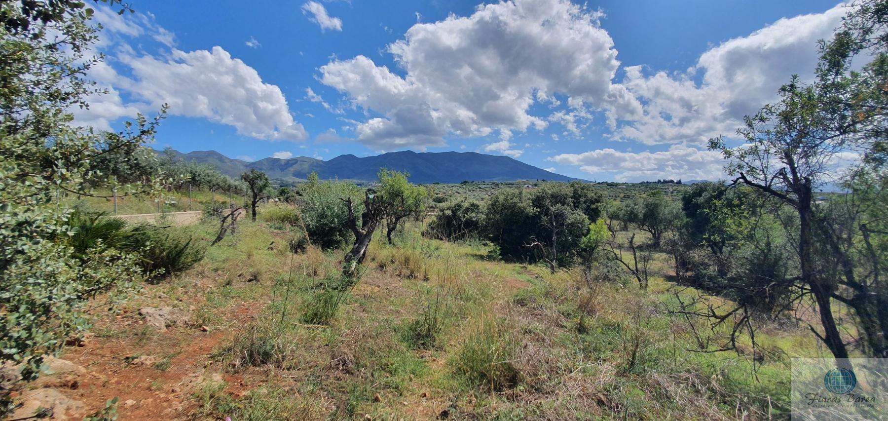 Venta de terreno en Alhaurín de la Torre