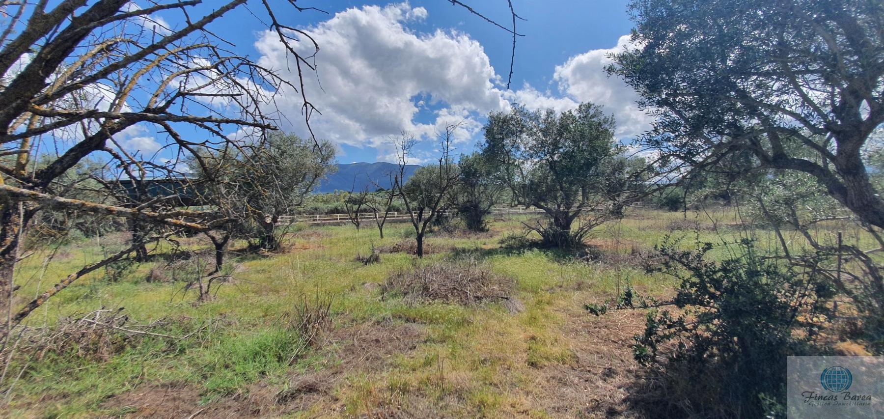 Venta de terreno en Alhaurín de la Torre