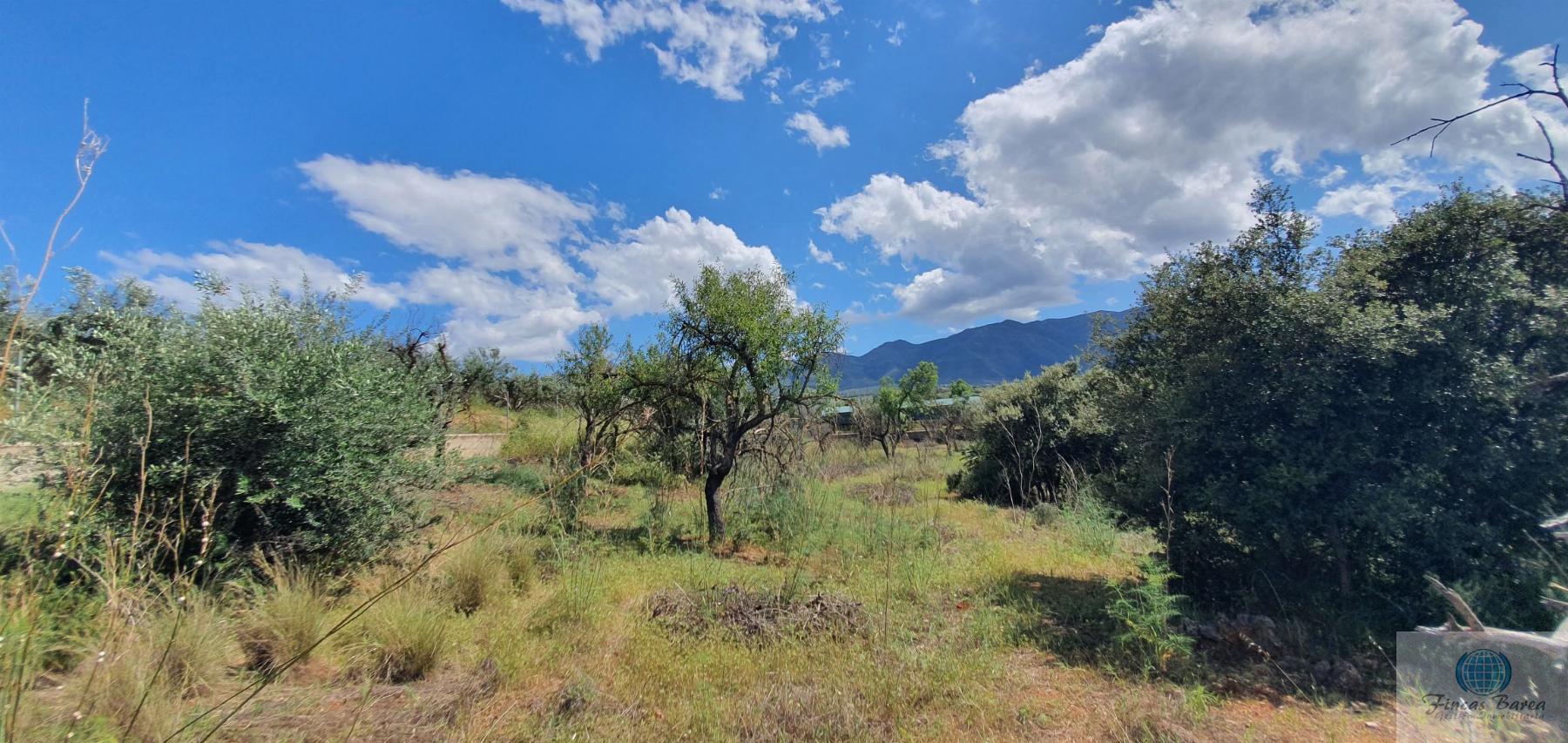 Venta de terreno en Alhaurín de la Torre