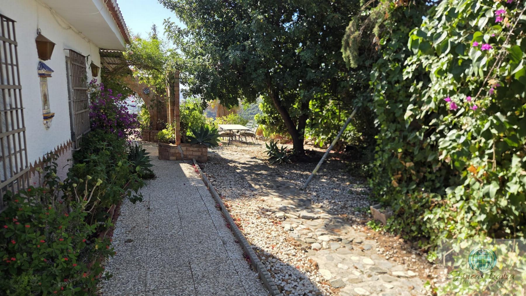 Alquiler de finca rústica en Mijas