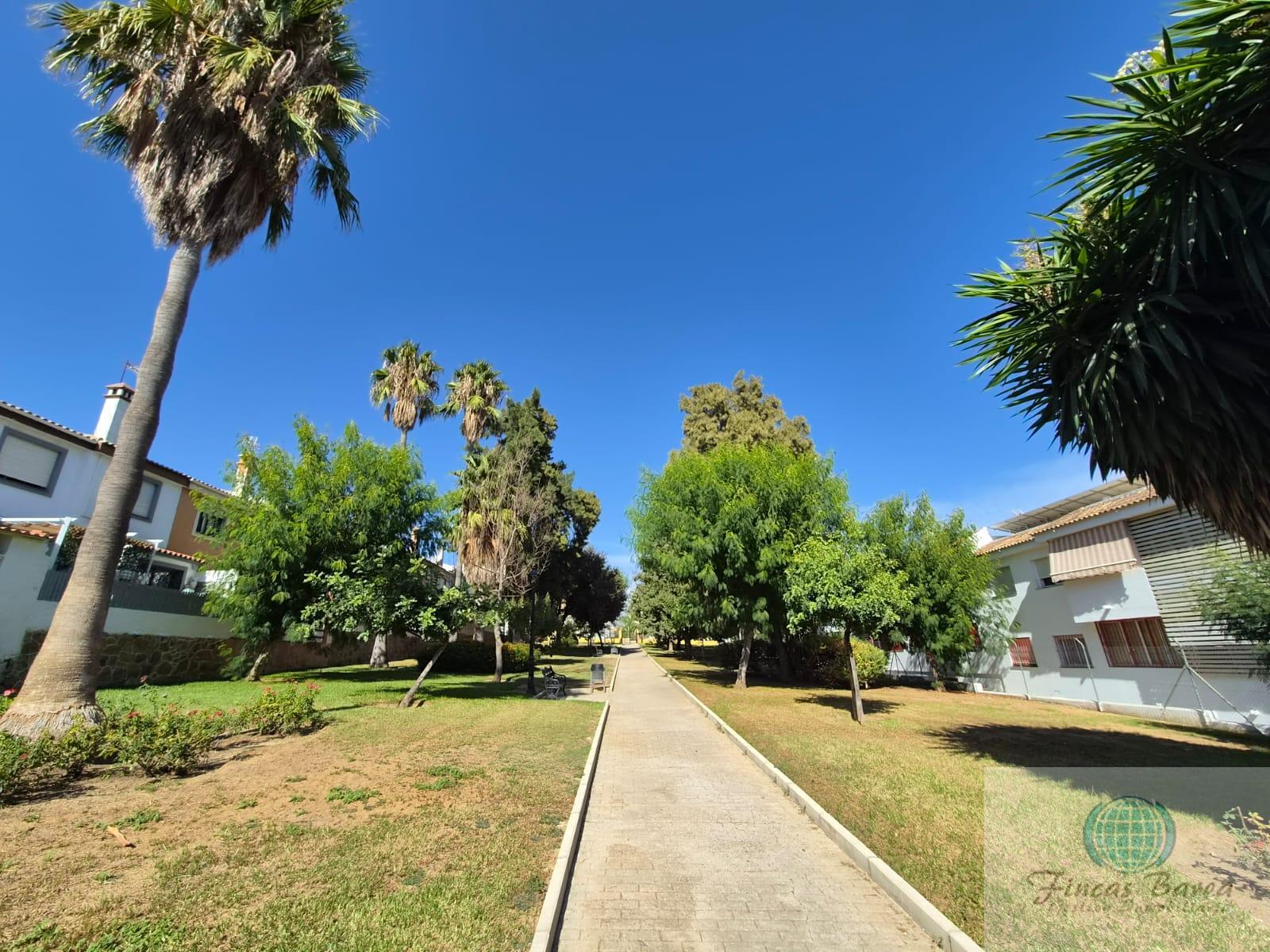 For rent of flat in Mijas