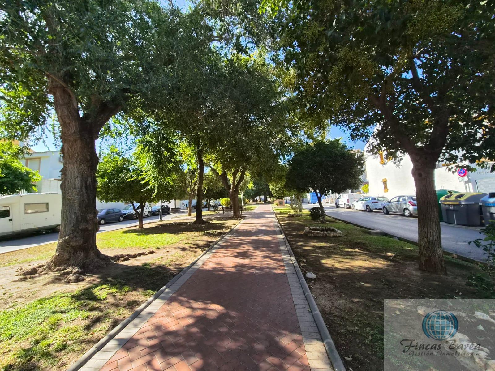 For rent of flat in Mijas