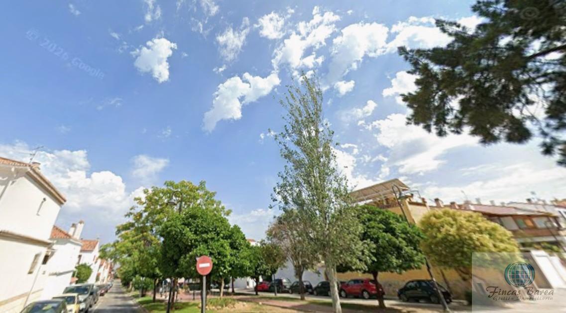 Alquiler de piso en Mijas