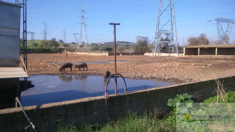 For sale of rural property in Mérida