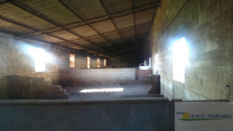For sale of rural property in Mérida