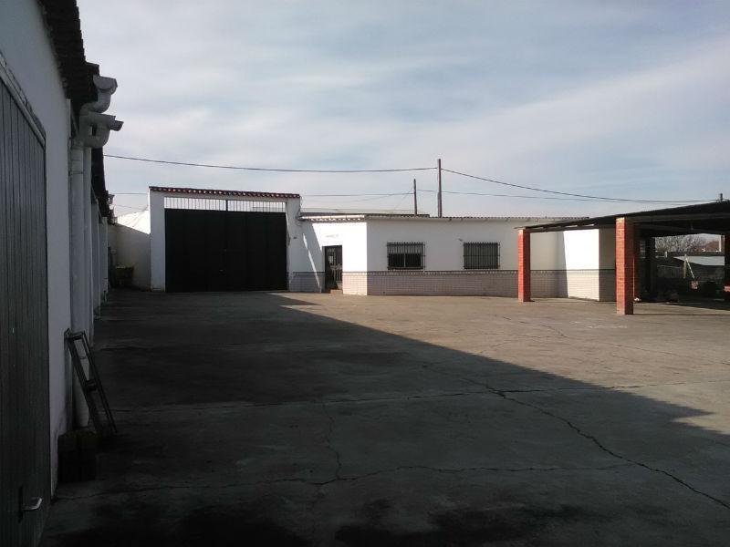 Alquiler de terreno en Trujillanos