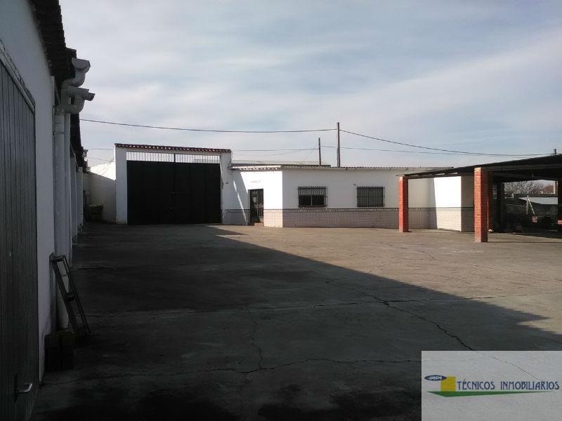 Alquiler de terreno en Trujillanos