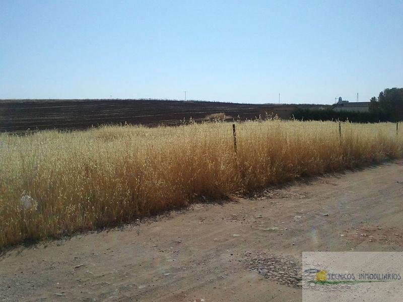 For sale of land in Mérida