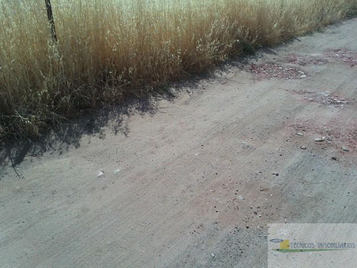 For sale of land in Mérida