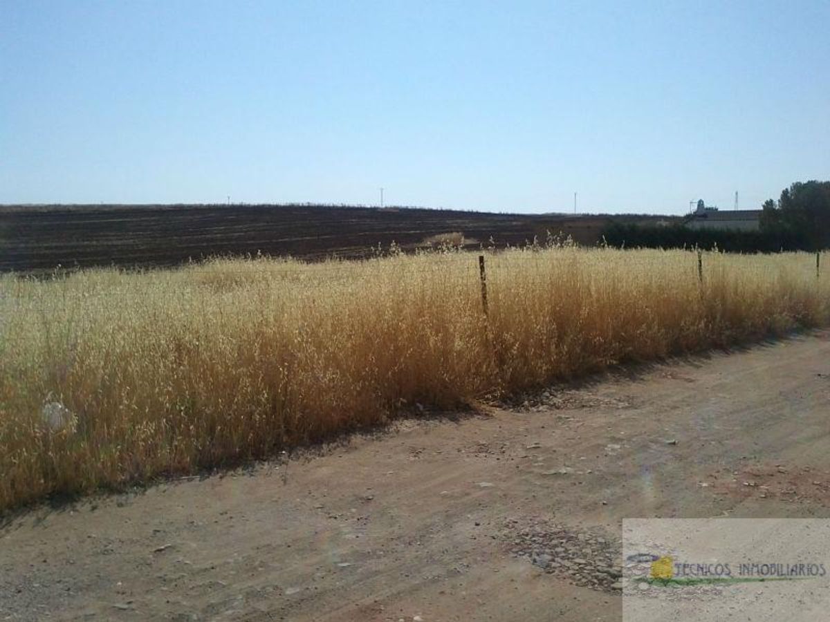 For sale of land in Mérida
